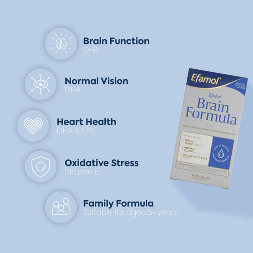 Efamol Brain Efalex Brain Formula 240 Capsules - Energy & Mind at MySupplementShop by Efamol