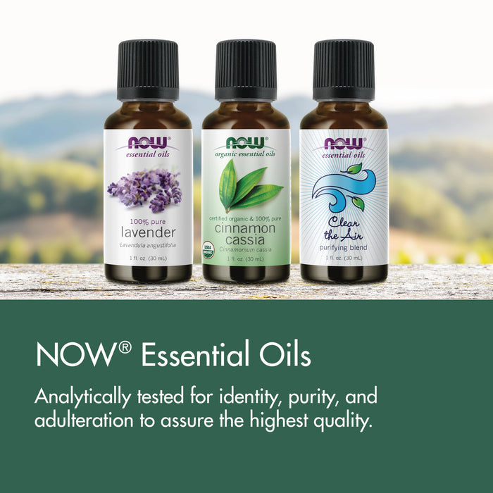 Now Foods ORGANIC CLOVE OIL 1 OZ