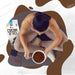 Cream of Rice, Creamy Chocolate - 1000g - Weight Gainers & Carbs at MySupplementShop by Olimp Nutrition
