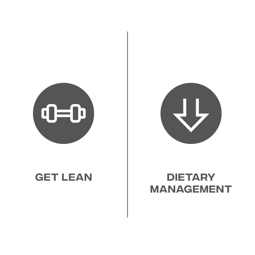 Reflex Nutrition Thermo Fusion 100 Caps - Sports Nutrition at MySupplementShop by Reflex Nutrition