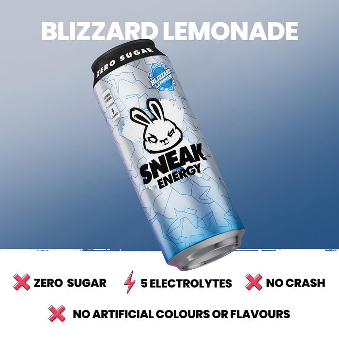 SNEAK Energy 12x500ml