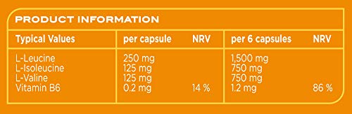 Reflex Nutrition BCAAs 500 Caps | High-Quality Amino Acids and BCAAs | MySupplementShop.co.uk