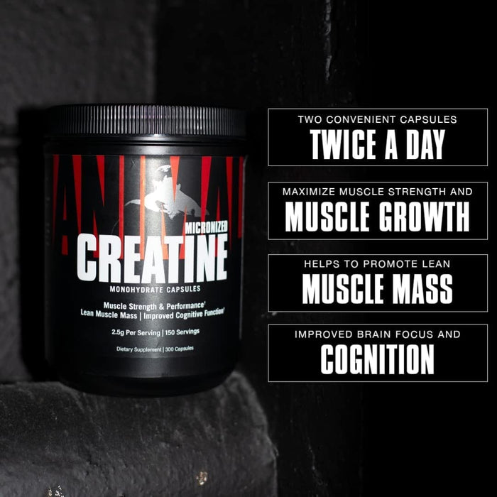 Animal Creatine Caps 300Caps  by Animal at MYSUPPLEMENTSHOP.co.uk