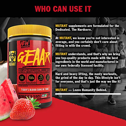 MUTANT GEAAR | 9.4g of EAA Powder + Arginine 7g BCAAs 4g Leucine Electrolytes Coconut Water No Artificial Colours or Flavours | 30 Servings | Tiger's Blood | 378g | High-Quality BCAAs | MySupplementShop.co.uk