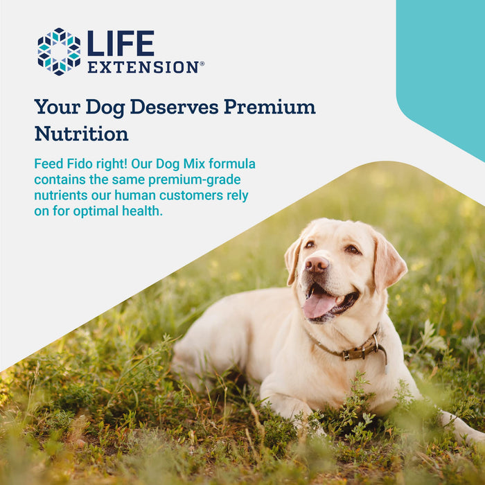 Life Extension Dog Mix - 100g | High-Quality Digestion & Nausea | MySupplementShop.co.uk