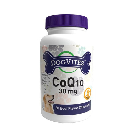 Health Thru Nutrition CoQ10 For Dogs, 30mg, Beef Flavour - 60 chewtabs | High-Quality Multivitamins | MySupplementShop.co.uk